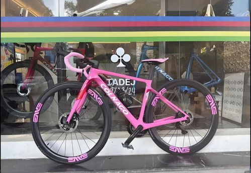 2025自行車行業(yè)報告 崔克是高檔次的品牌嗎閃電捷安特性價比