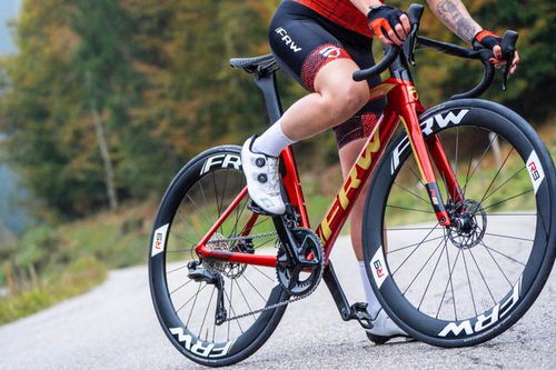 世界名牌自行車前十名福倫王土撥鼠進(jìn)口中國自行車最好的三個品牌