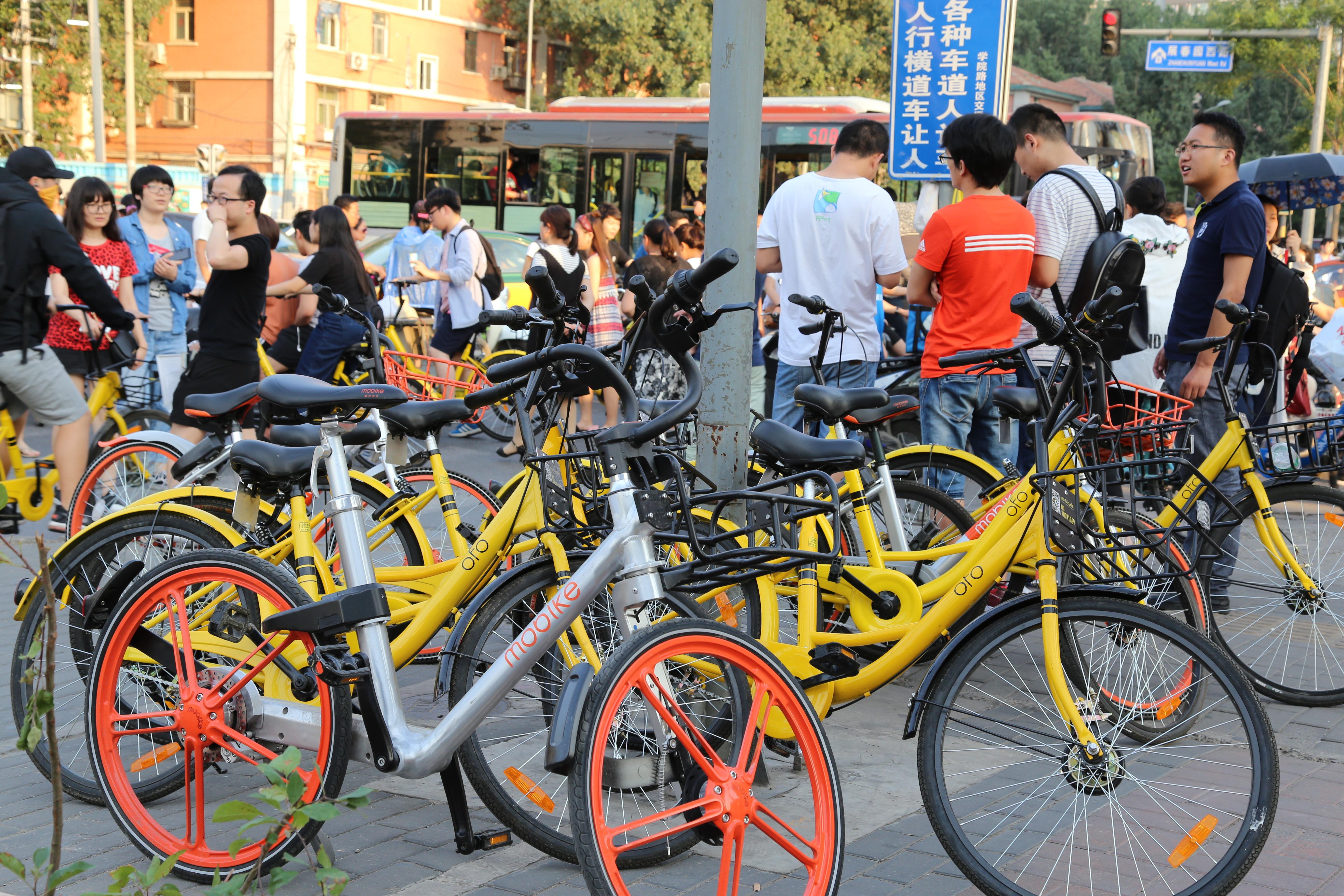 城市里的"搬運(yùn)工":共享單車調(diào)度員